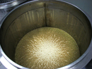 Birra chiara in fermentazione